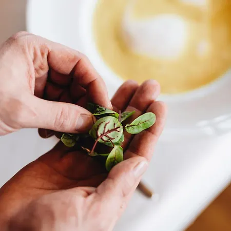 Hotel apartamentowy Hubertus